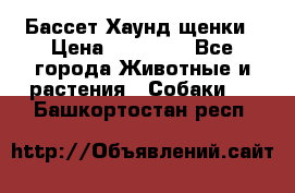 Бассет Хаунд щенки › Цена ­ 20 000 - Все города Животные и растения » Собаки   . Башкортостан респ.